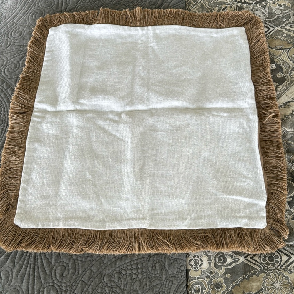 Pottery barn pillow case